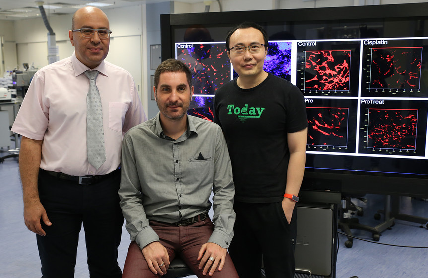 HKU develops novel probiotic mixture “Prohep” that may offer potential therapeutic effects on liver cancer gallery photo 1