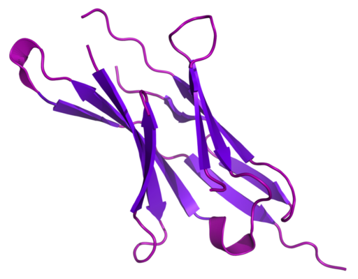 PD1-Based TWIST1 Cancer Vaccine