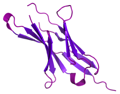 PD1-Based TWIST1 Cancer Vaccine