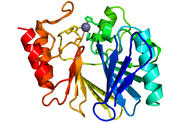 A New Class of Metallo-β-lactamases inhibitors Against Antibacterial Resistance