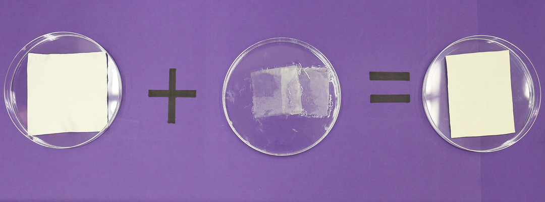Novel Omniphobic Porous Membranes and Coatings
