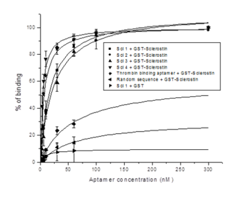 Technology Section Slider 1