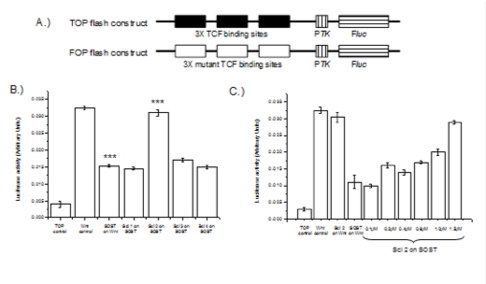 Technology Section Slider 2
