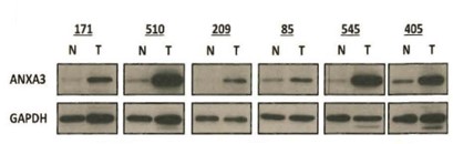 Technology Section Slider 1